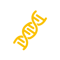 DNA and RNA