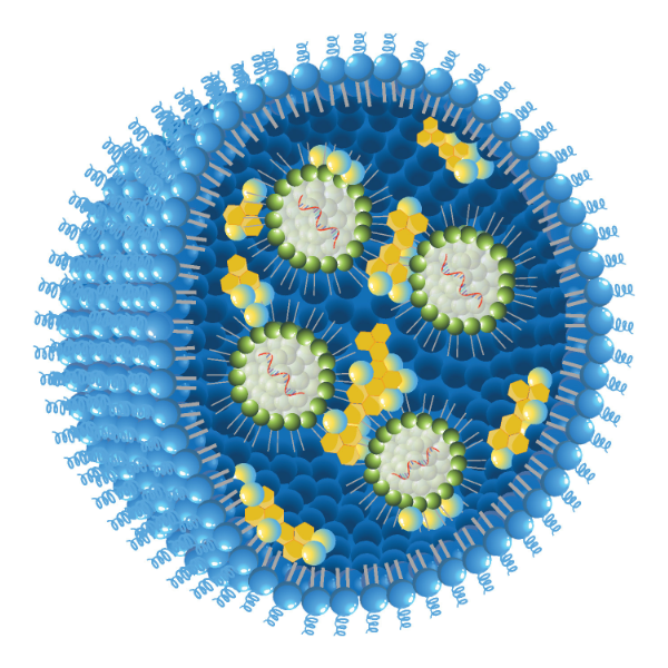 Lipid-Nanoparticles (LNPs)